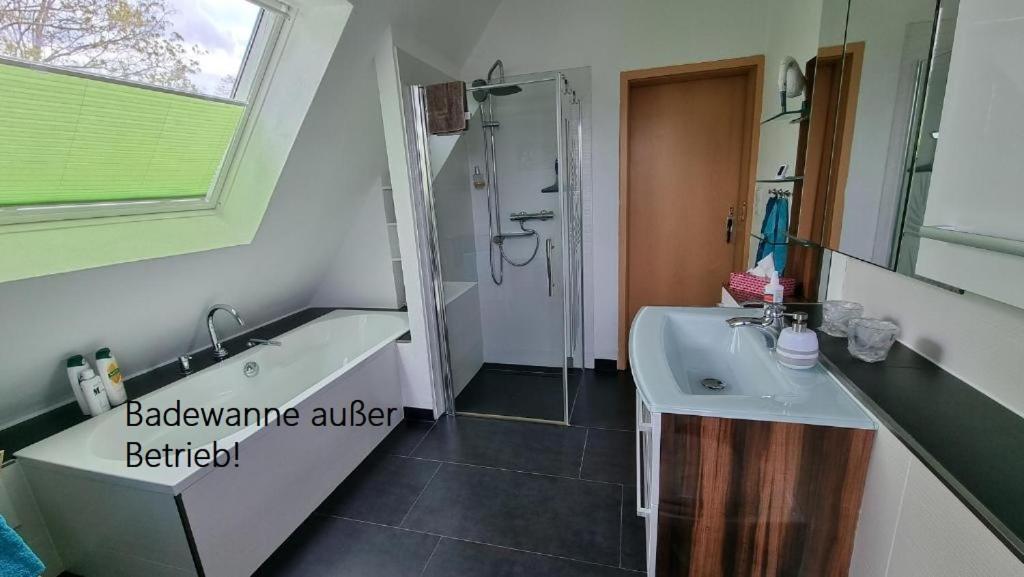 Apartment Am Park Leipzig